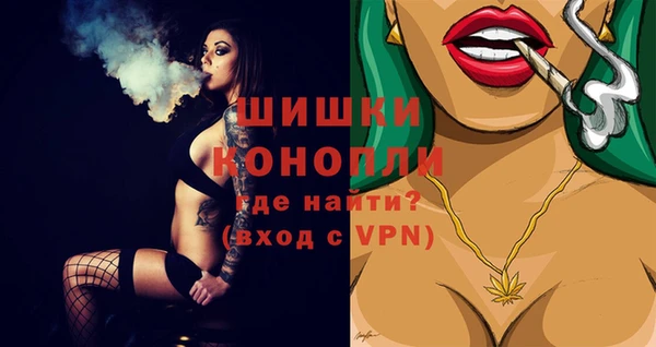 прущий лед Абаза