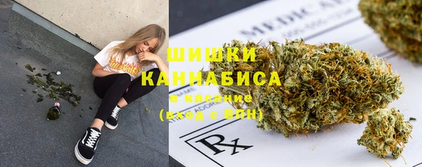 прущий лед Абаза